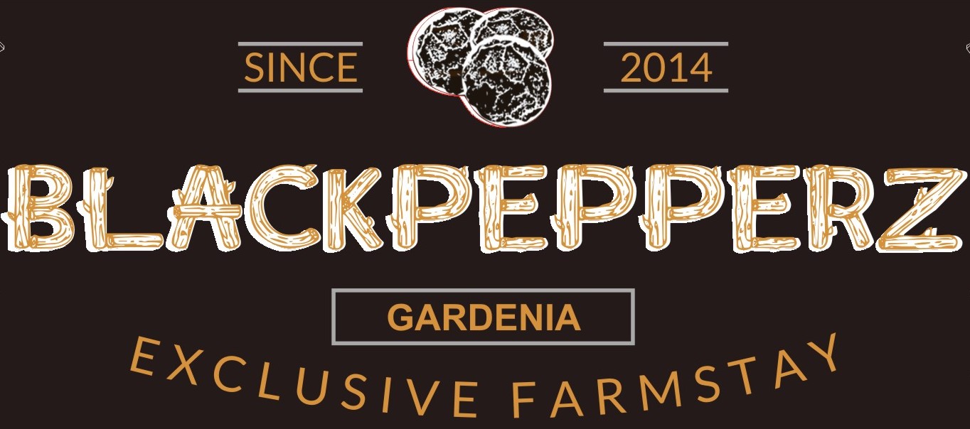 Blackpepperz Gardenia